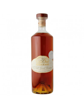 9 Best Hors d'Age Cognac under $500: A Family Tasting
