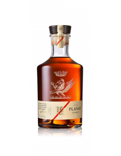 All About Floral Cognacs (+ 12 great examples)